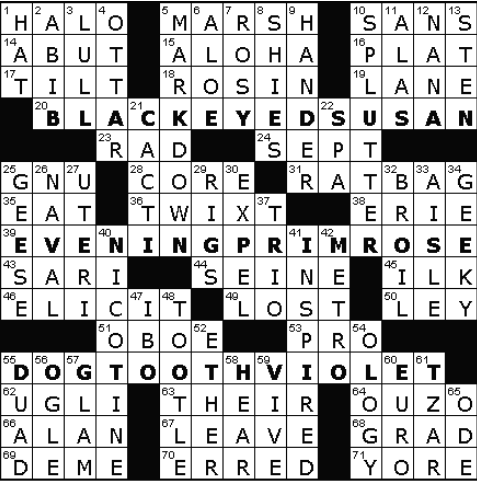 moves at a relaxed pace crossword